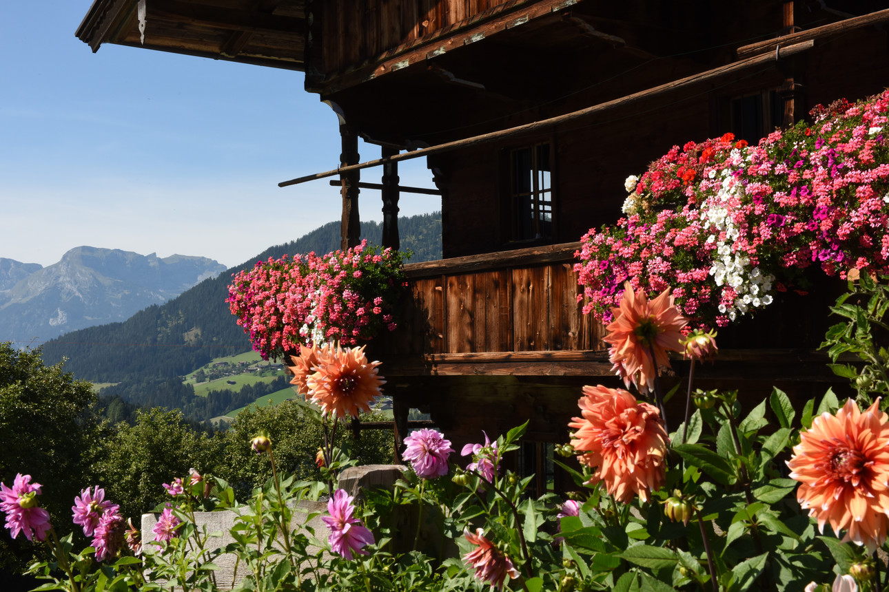Sommerurlaub im Alpbachtal in Tirol bei der Familie Bischofer